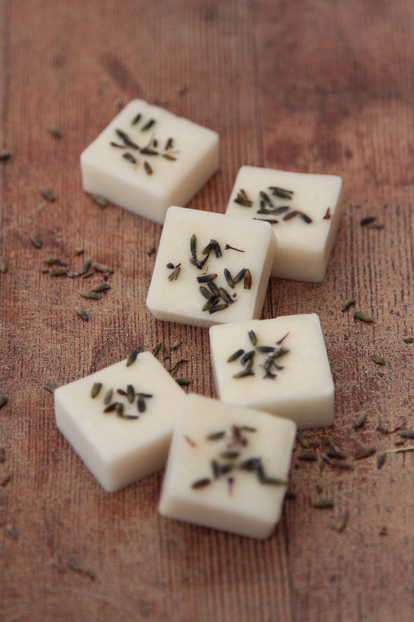 Hush Wild Thing Wax Melts
