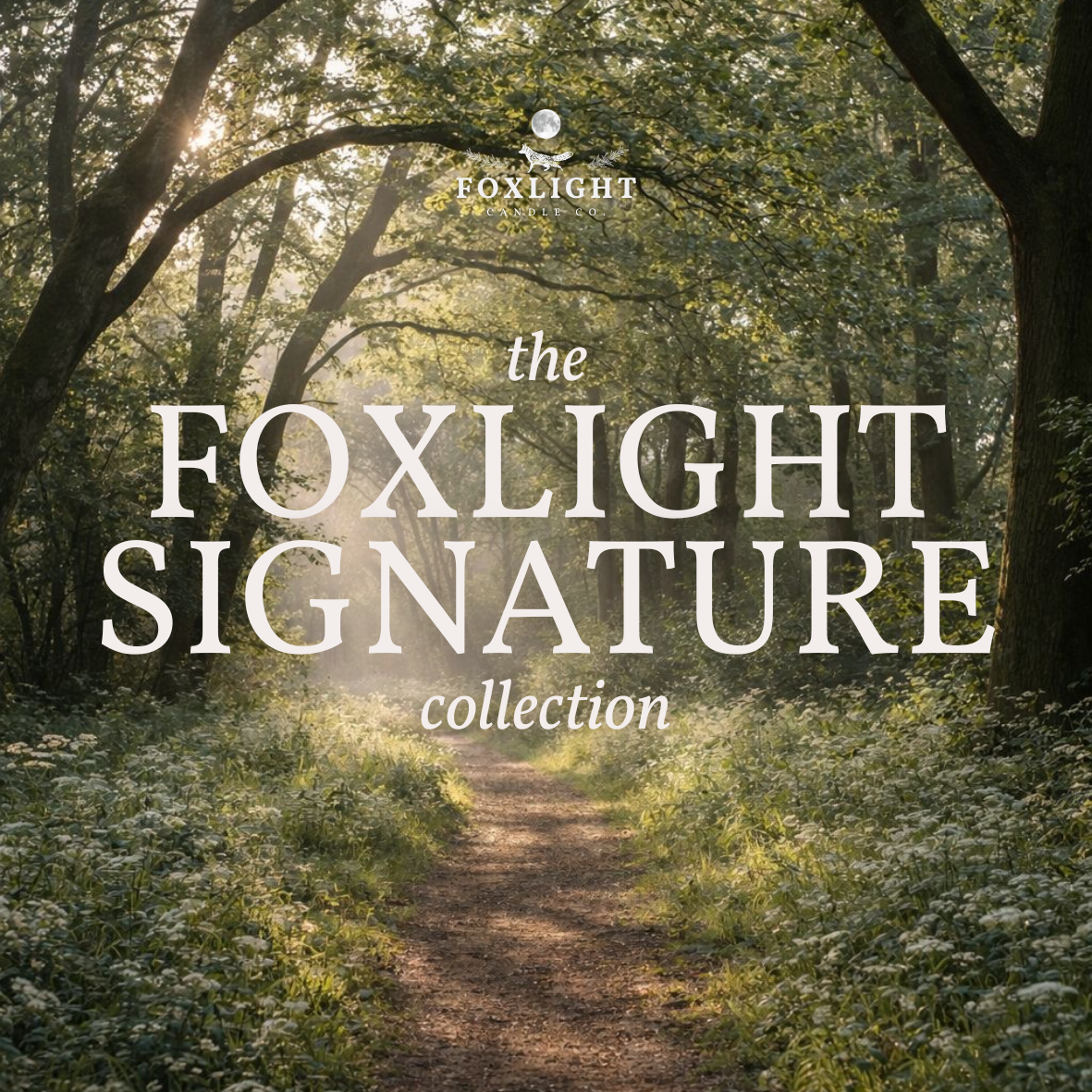 The Foxlight Signature Collection