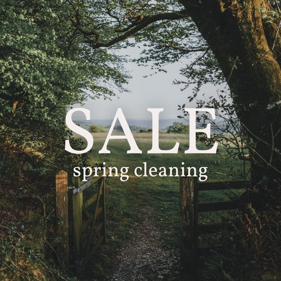 SPRING CLEANING SALE