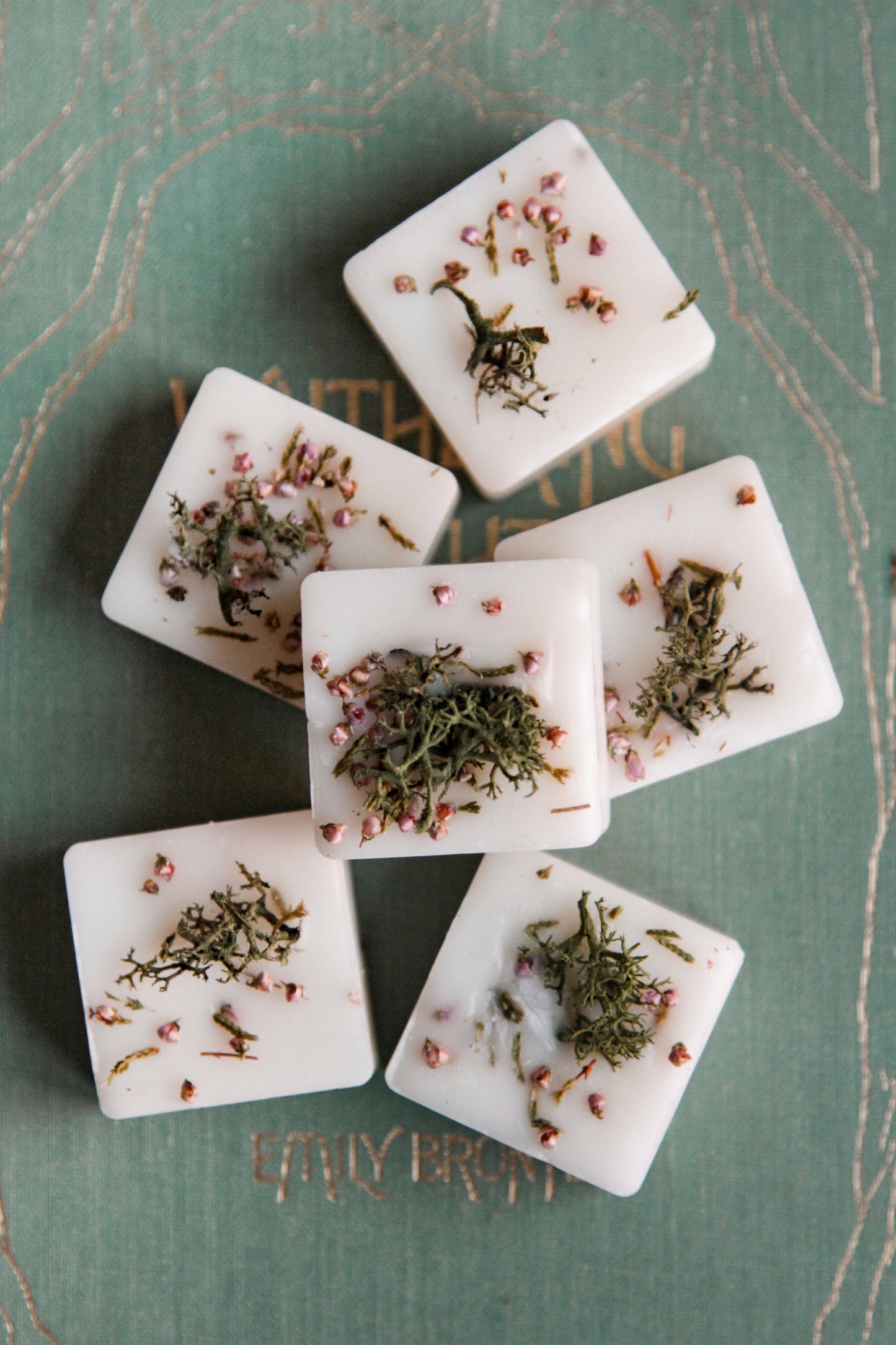 Untamed Moors Wax Melts