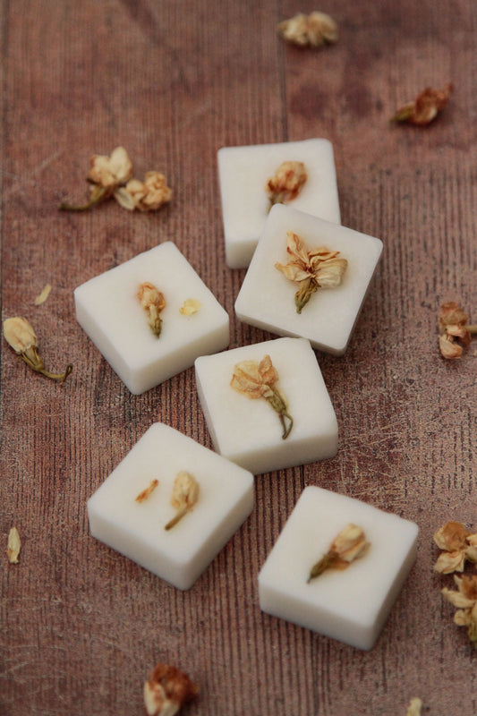 Celestial Solstice Wax Melts