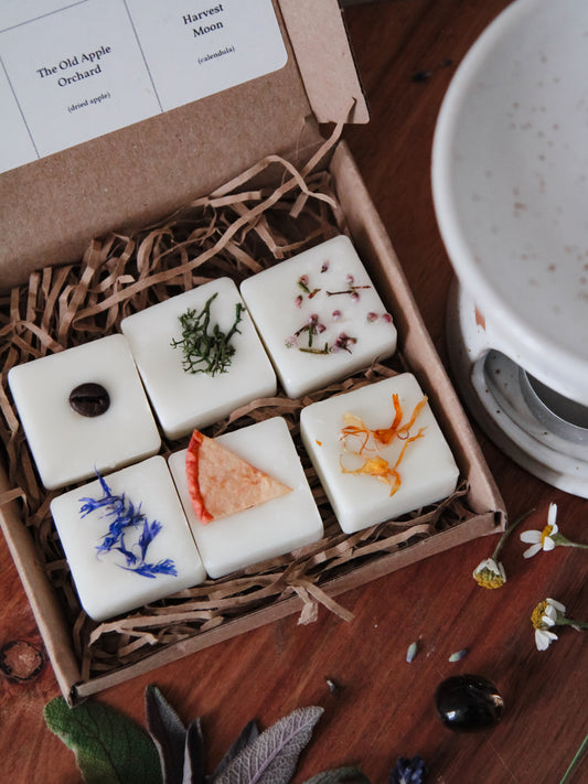 The Homestead Porch Wax Melt Sample Set