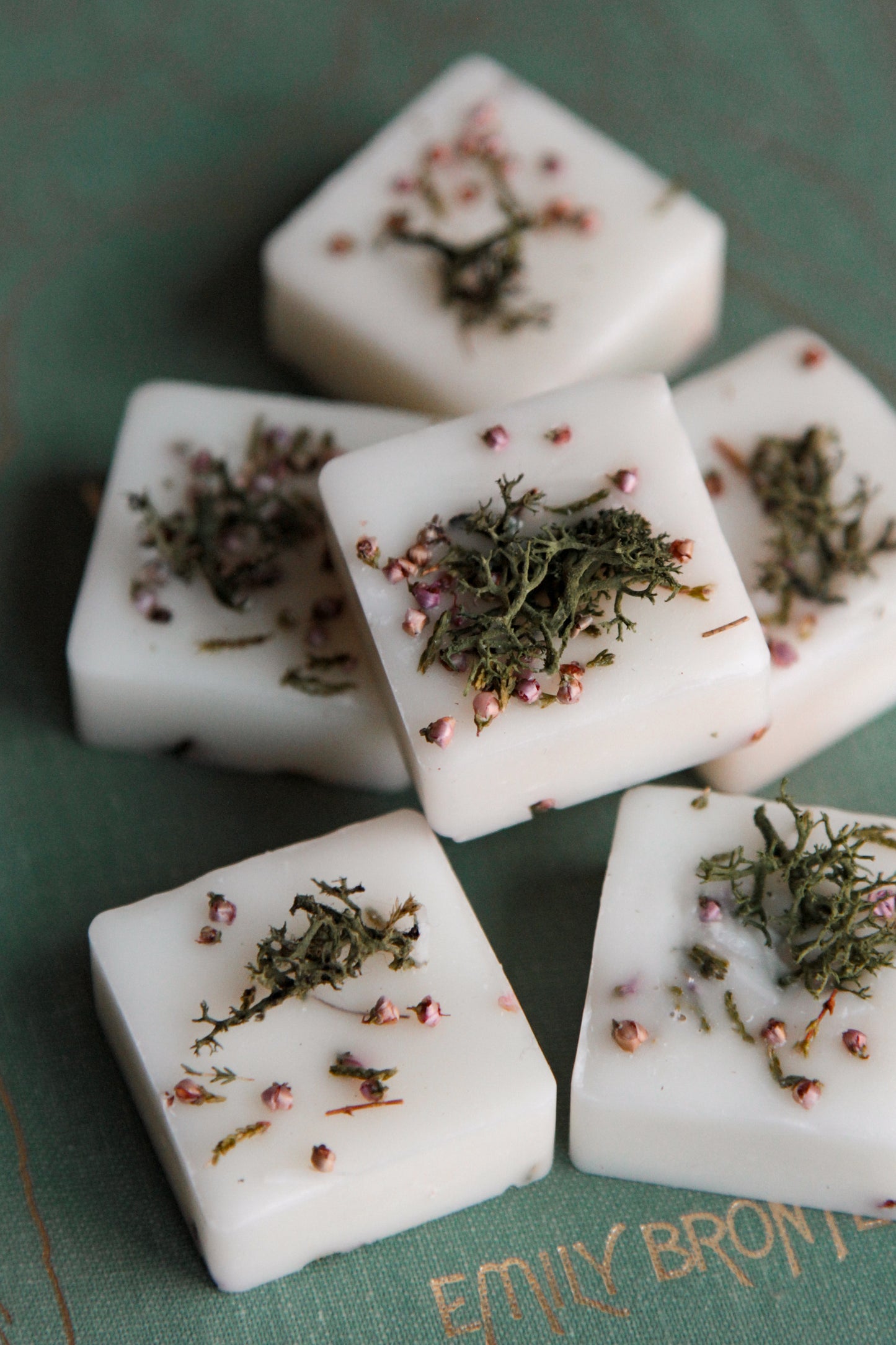 Untamed Moors Wax Melts