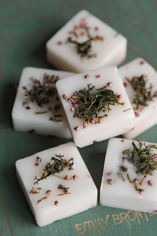 Untamed Moors Wax Melts