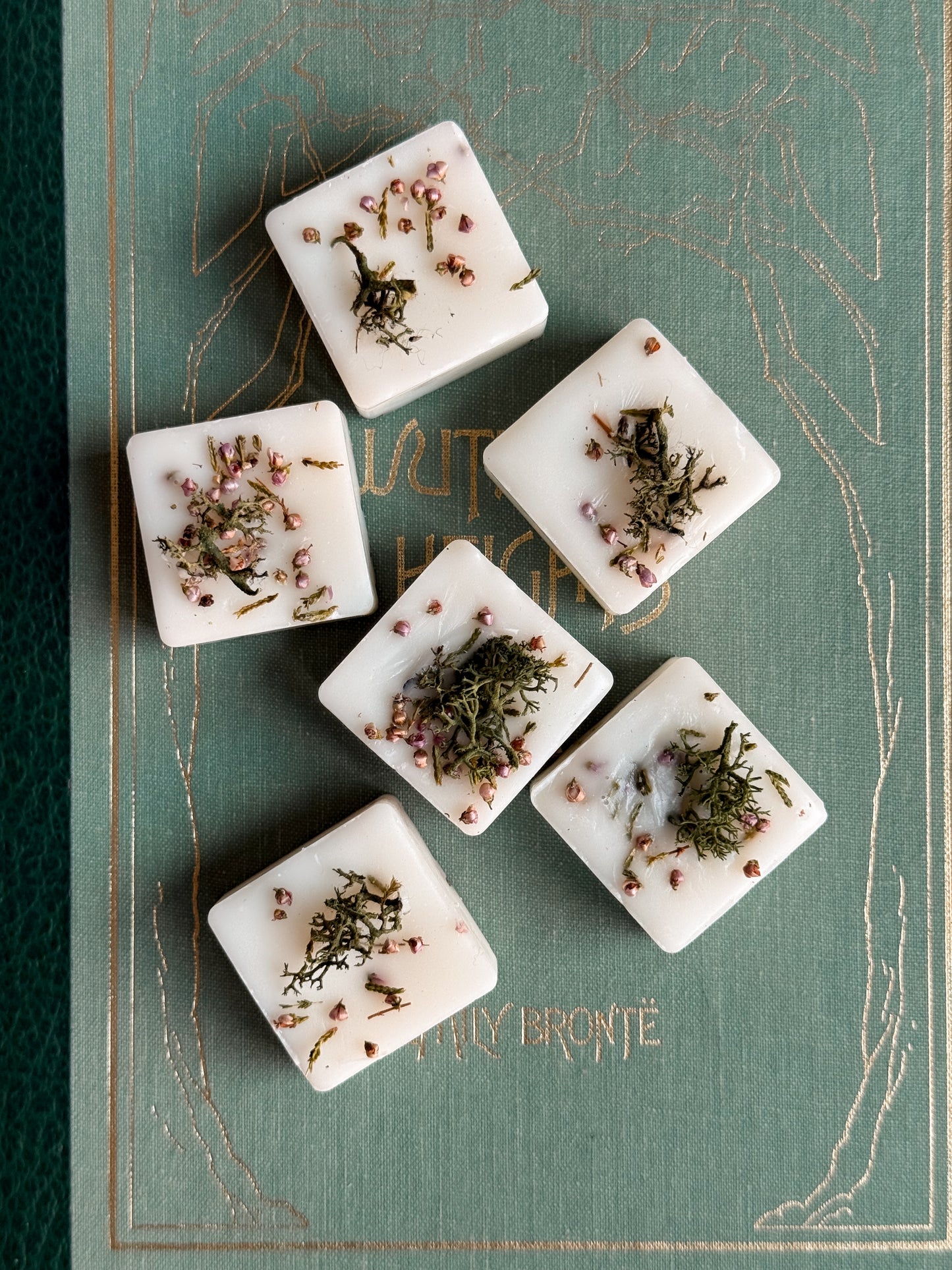 Untamed Moors Wax Melts