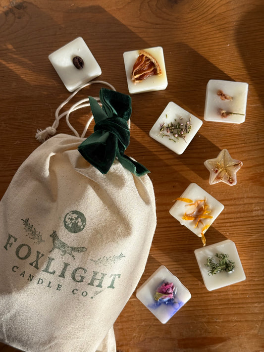 Foxlight Curiosity Bag