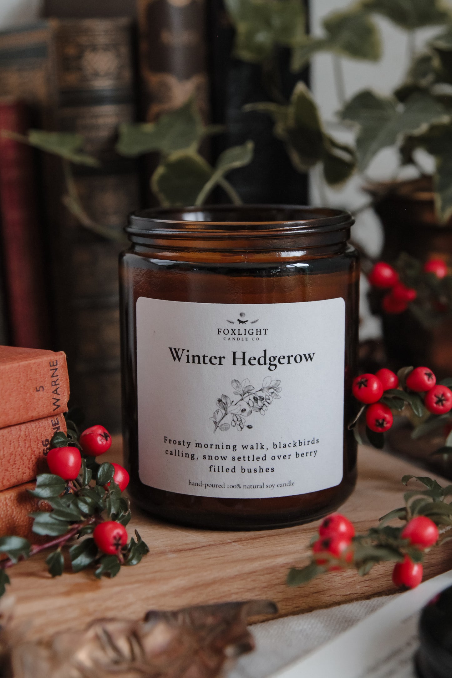 Winter Hedgerow