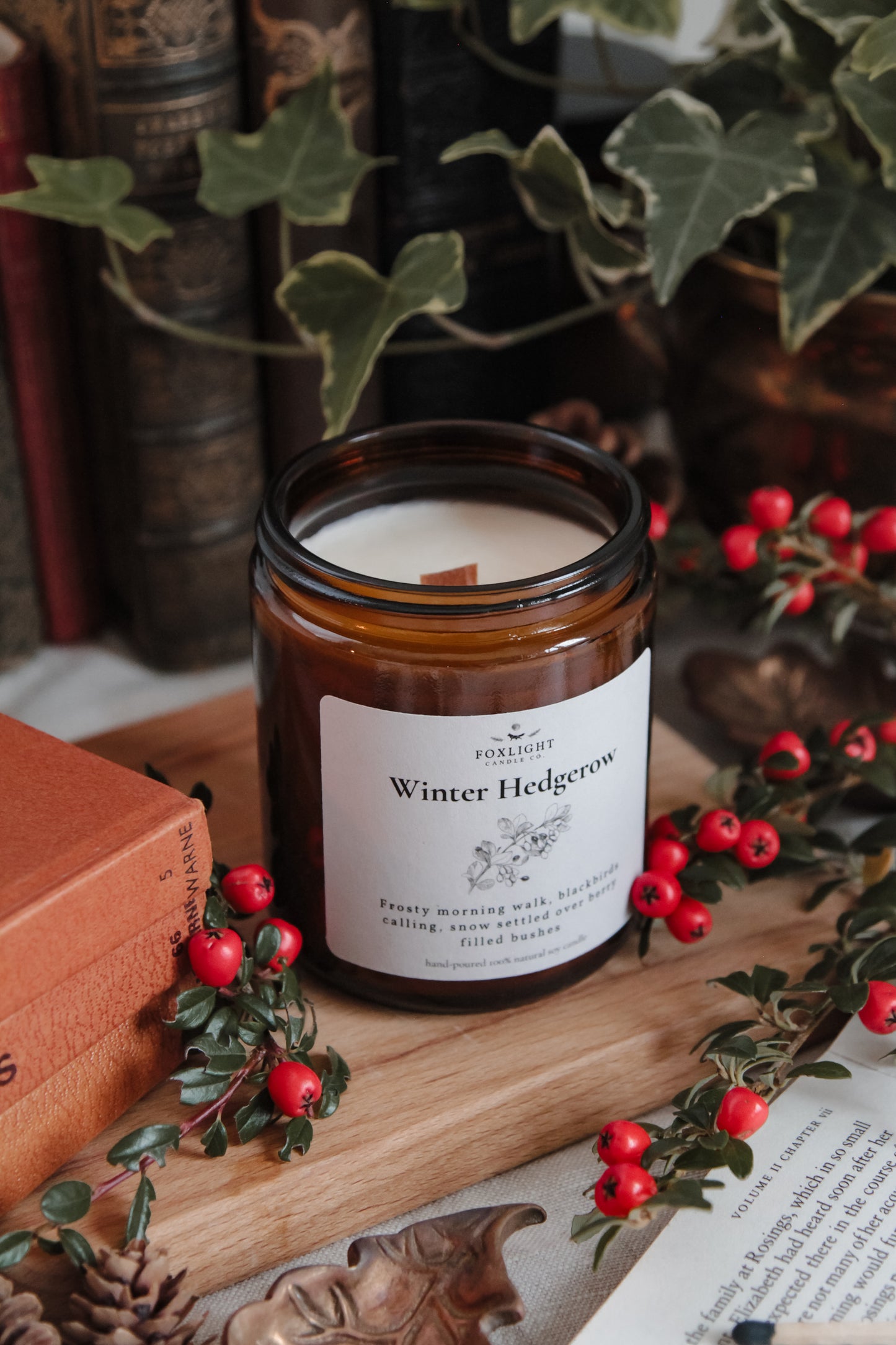 Winter Hedgerow