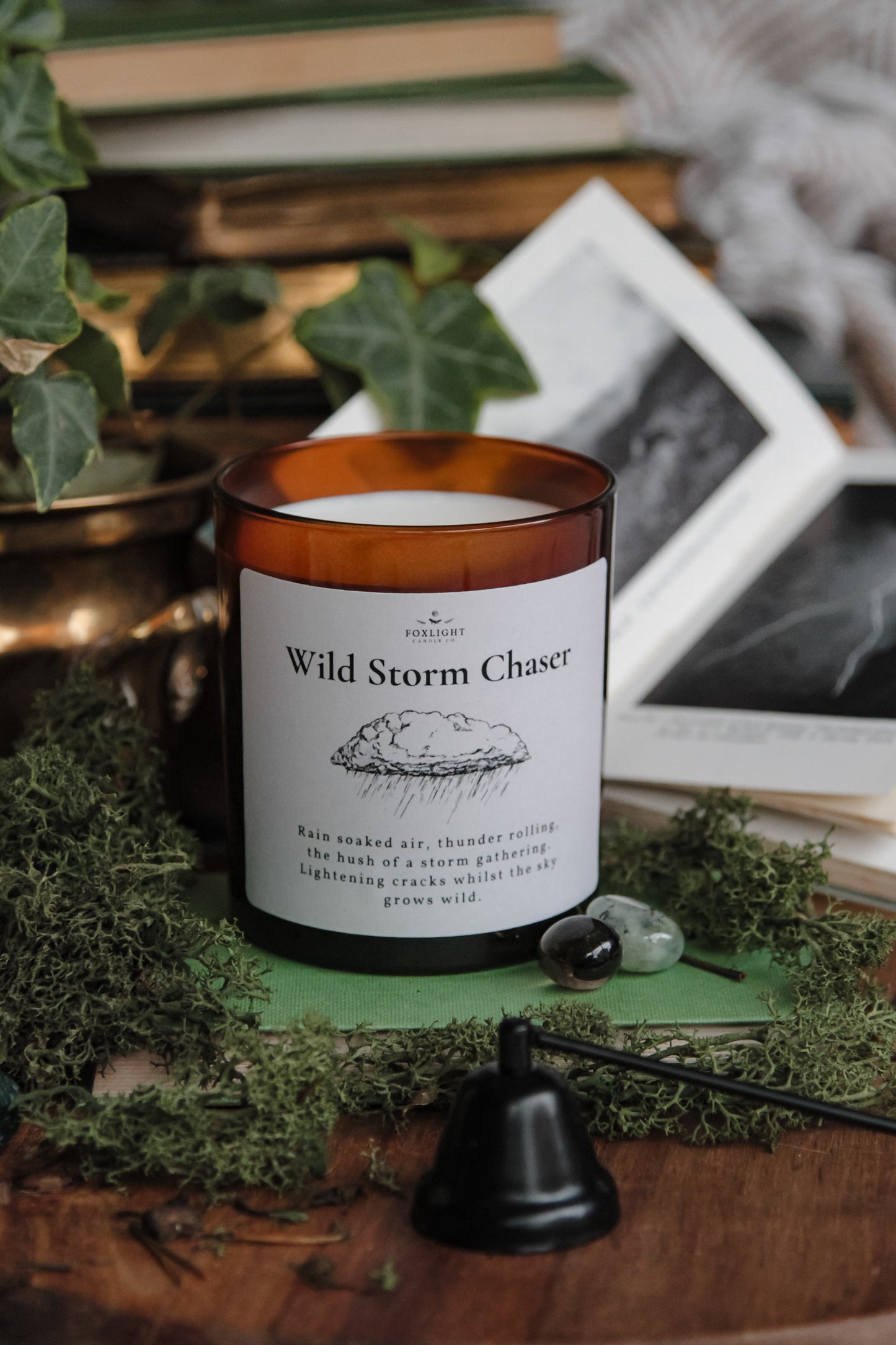 Wild Storm Chaser